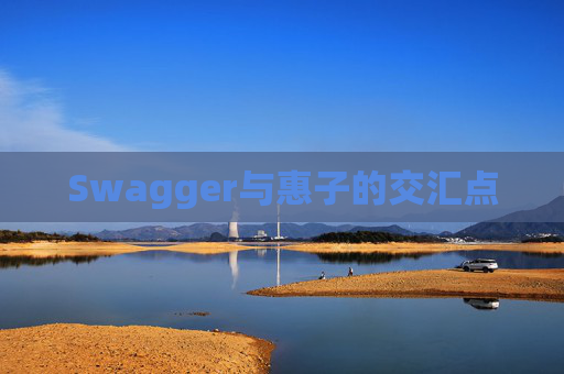 Swagger与惠子的交汇点